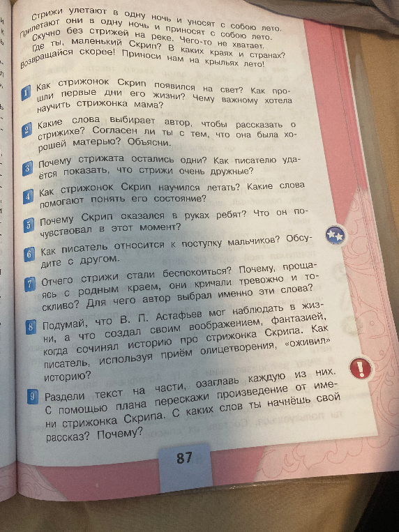 Как стрижонок Скрип появился на свет? Как прошли первые дни его жизни? Чему важному хотела научить стрижонка мама?