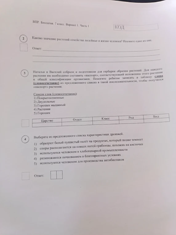 Каково значение растений семейства лилейные в жизни человека? Назовите одно из них.