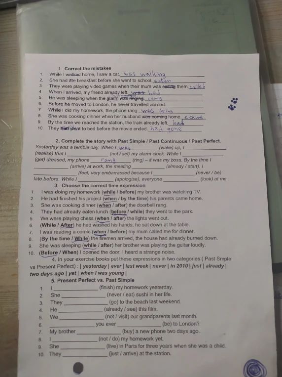 Complete the story with Past Simple / Past Continuous / Past Perfect.