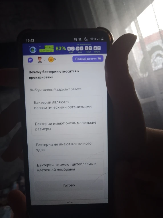Почему бактерии относятся к прокариотам?