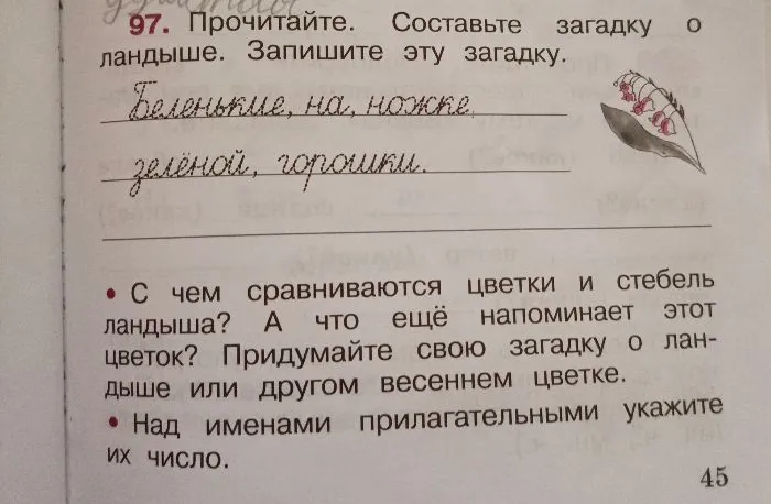 97. Прочитайте. Составьте загадку о ландыше. Запишите эту загадку.