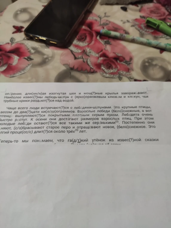 оп..рение, дли(нн/н)ая изогнутая шея и мощ(?)ные крылья завораж..вают.