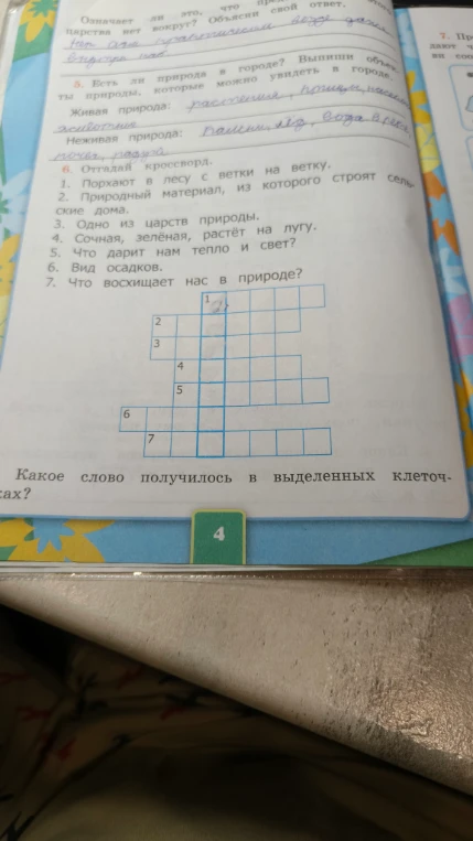 6. Отгадай кроссворд.