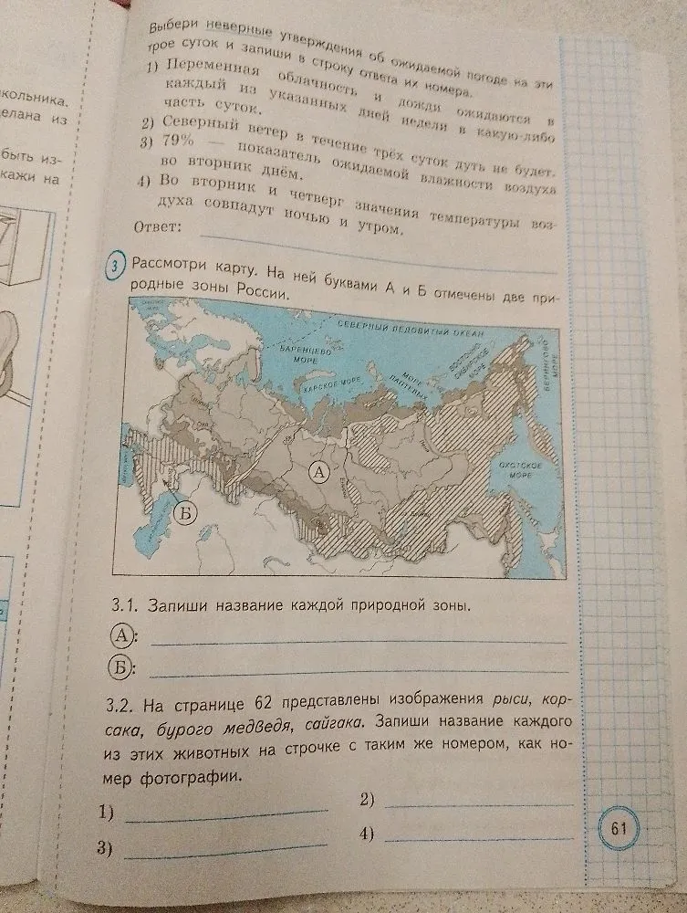 Рассмотри карту. На ней буквами А и Б отмечены две природные зоны России.