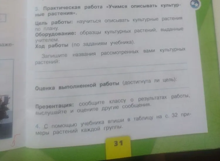 3. Практическая работа «Учимся описывать культурные растения».