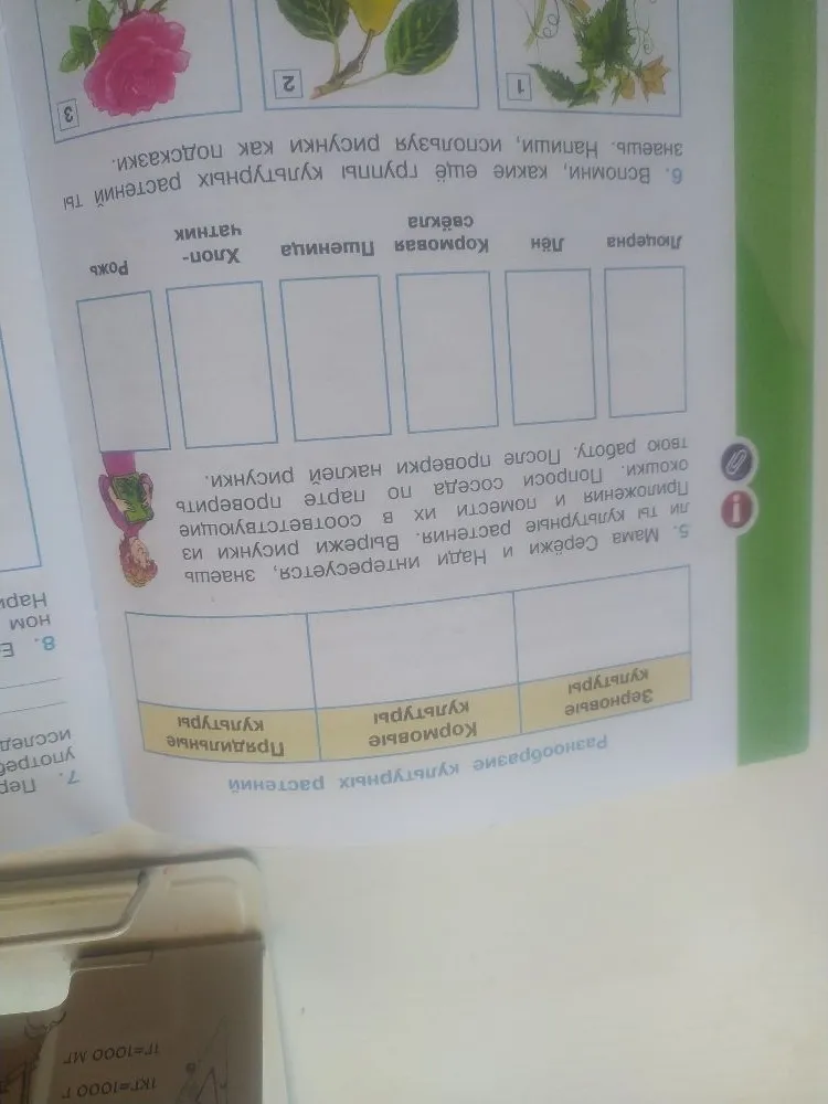 5. Мама Серёжи и Нади интересуется, знаешь ли ты культурные растения. Вырежи рисунки из Приложения и помести их в соответствующие окошки.