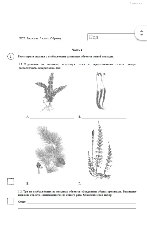 1.1. Подпишите их названия, используя слова из предложенного списка: хвощи, голосеменные, папортники, мхи.