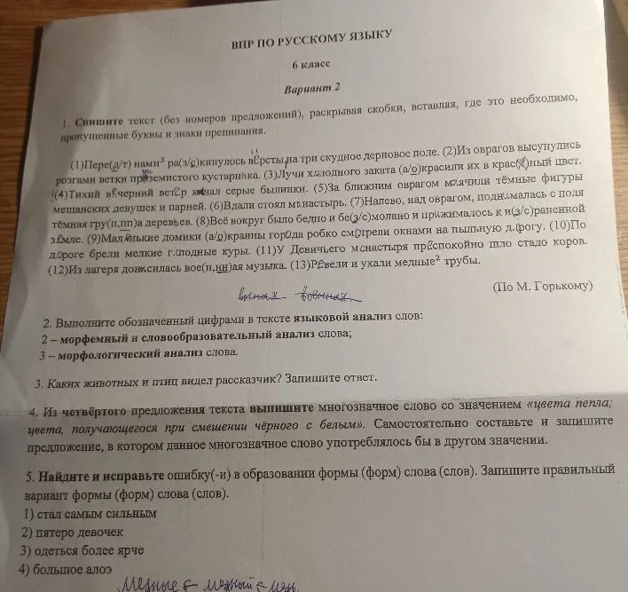 Спишите текст (без номеров предложений), раскрывая скобки, вставляя, где это необходимо, пропущенные буквы и знаки препинания.