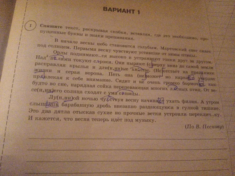 Спишите текст, раскрывая скобки, вставляя, где это необходимо, пропущенные буквы и знаки препинания.