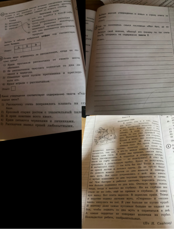 На основе содержания текстов установи соответствие между словом и его значением, а также ответь на вопросы по тексту