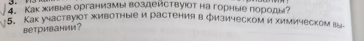 Как живые организмы воздействуют на горные породы? Как участвуют животные и растения в физическом и химическом выветривании?