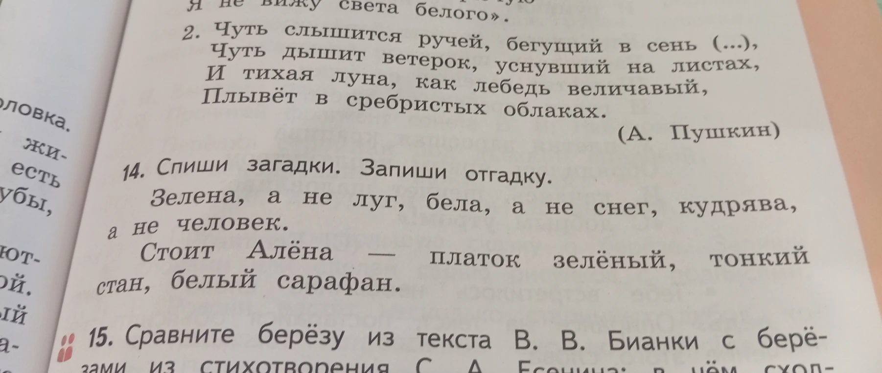 14. Спиши загадки. Запиши отгадку. Зелена, а не луг, бела, а не снег, кудрява, а не человек. Стоит Алёна — платок зелёный, тонкий стан, белый сарафан.