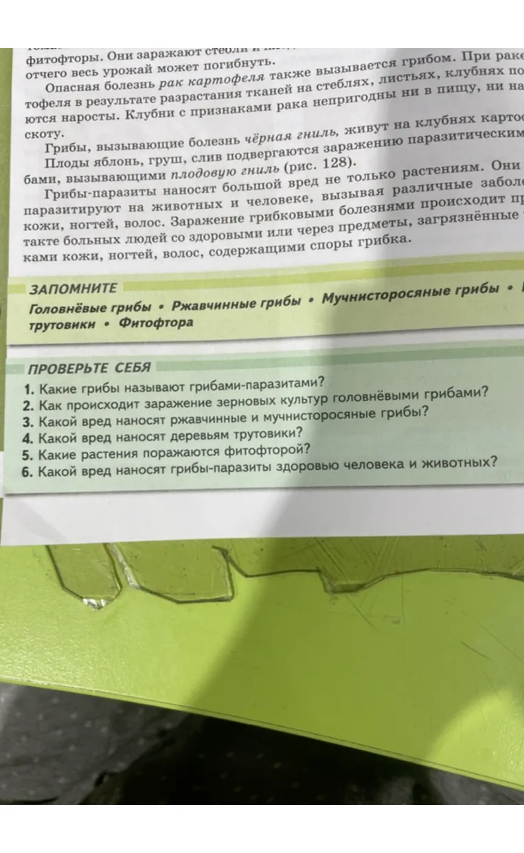 1. Какие грибы называют грибами-паразитами?