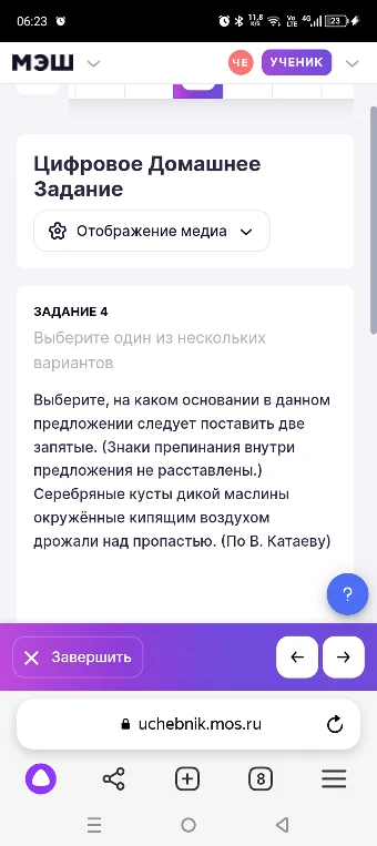 Выберите, на каком основании в данном предложении следует поставить две запятые. (Знаки препинания внутри предложения не расставлены.) Серебряные кусты дикой маслины окружённые кипящим воздухом дрожали над пропастью. (По В. Катаеву)