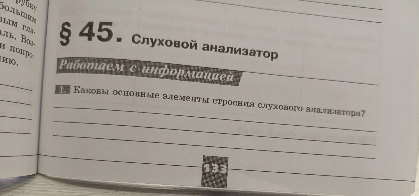 Каковы основные элементы строения слухового анализатора?