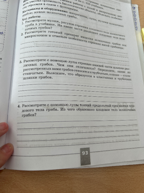 Рассмотрите муляж, рисунок строения плодового тела шляпочного гриба в учебнике. На какие части разделяют плодовые тела шляпочных грибов?