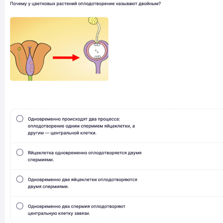 Почему у цветковых растений оплодотворение называют двойным?