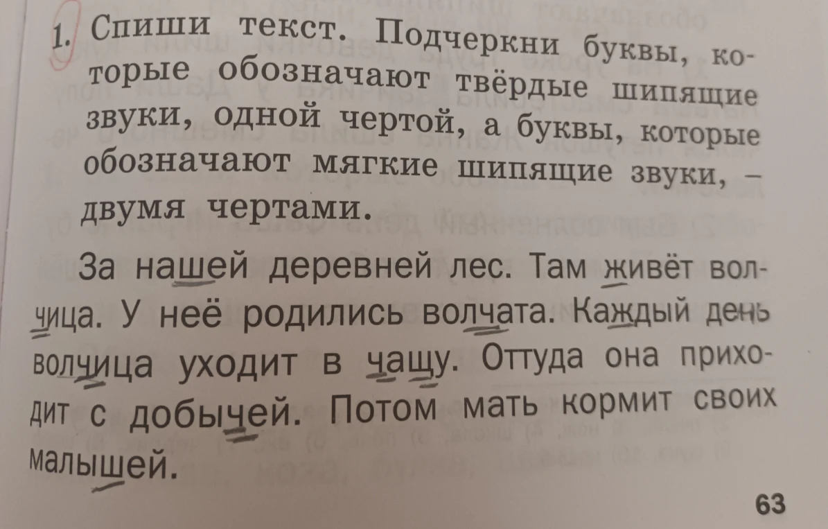 Спиши текст. Подчеркни буквы, которые обозначают твёрдые шипящие звуки, одной чертой, а буквы, которые обозначают мягкие шипящие звуки, — двумя чертами.
