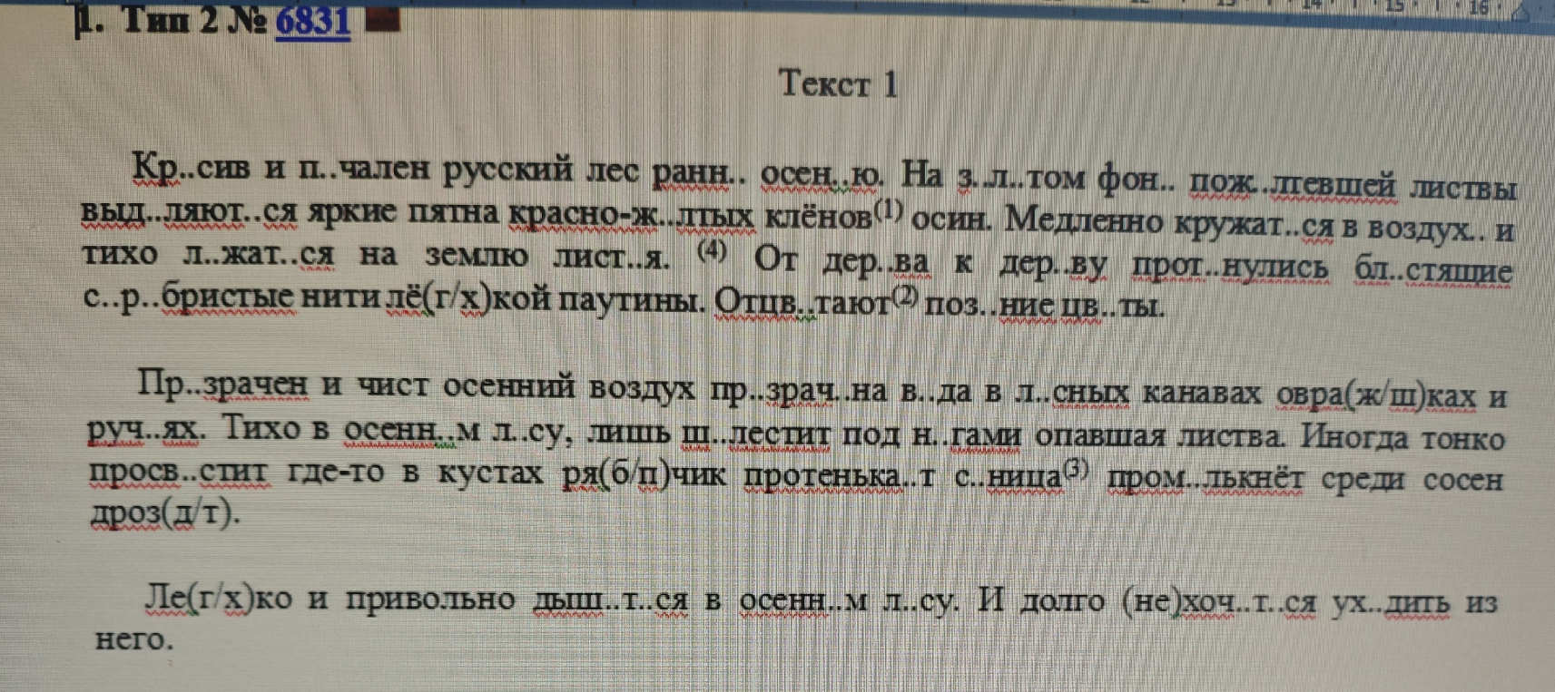Красив и печален русский лес ранней осенью.