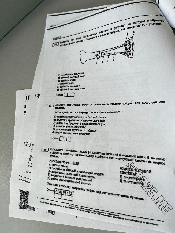 Выберите три верно обозначенные подписи к рисунку, на котором изображено строение кости человека. Запишите в таблицу цифры, под которыми они указаны.