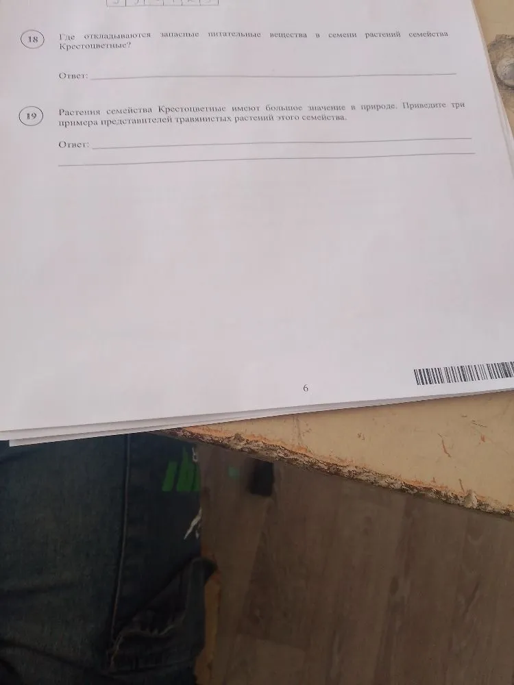Где откладываются запасные питательные вещества в семени растений семейства Крестоцветные?