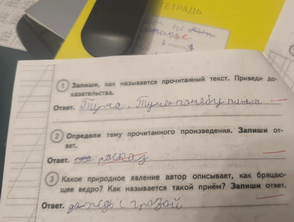 Запиши, как называется прочитанный текст. Приведи доказательства.