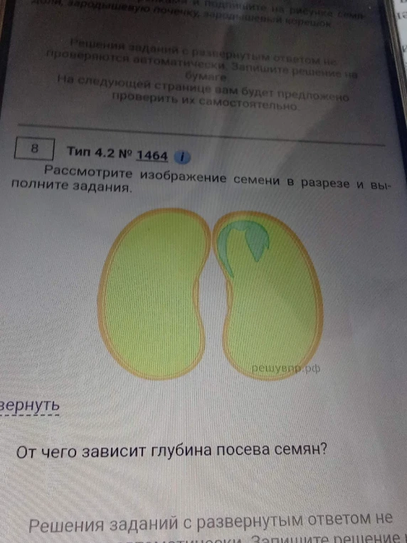 От чего зависит глубина посева семян?