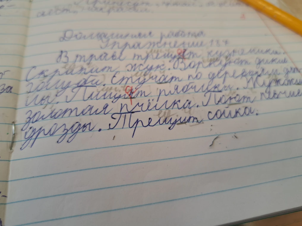 Домашняя работа Упражнение 187 В траве трещут кузнечики. Скрипит жук. Воркуют дикие голуби. Стучат по дереву дятлы. Пищат рябчики. Жужжит золотая пчёлка. Поют певчие дрозды. Трещит сойка.