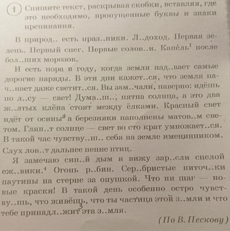 Спишите текст, раскрывая скобки, вставляя, где это необходимо, пропущенные буквы и знаки препинания.