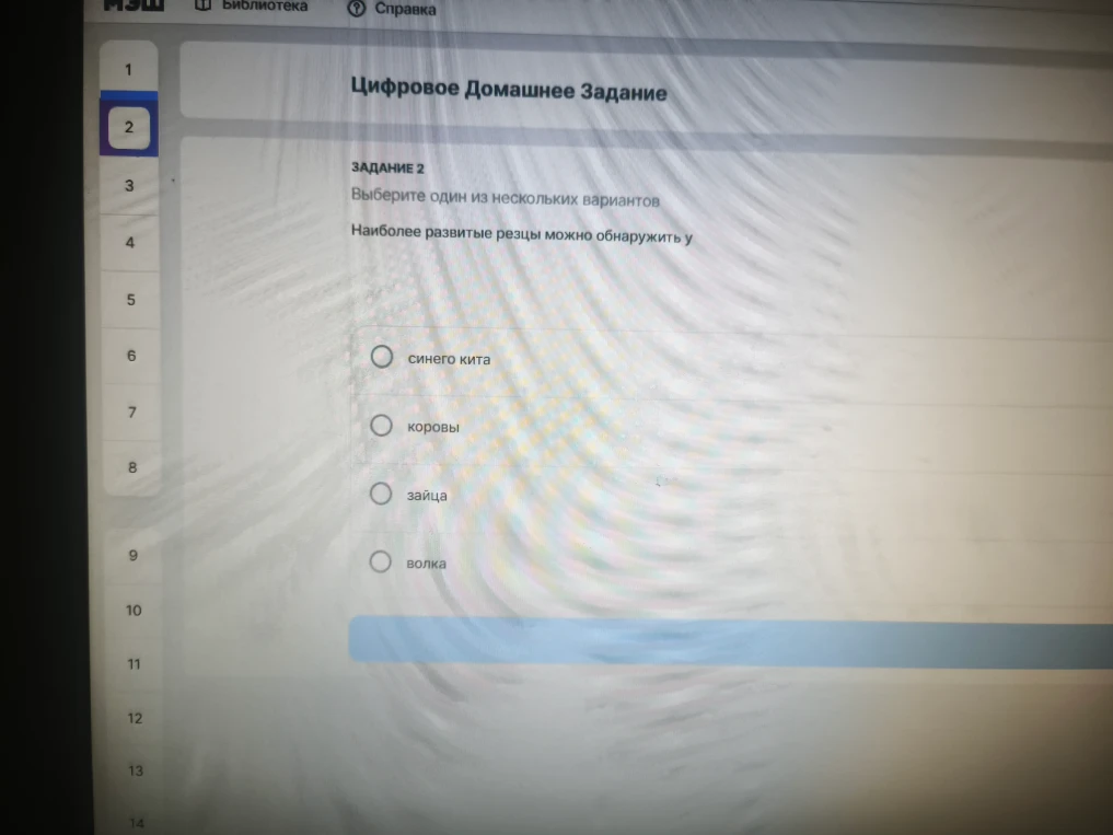 Наиболее развитые резцы можно обнаружить у синего кита, коровы, зайца, волка.