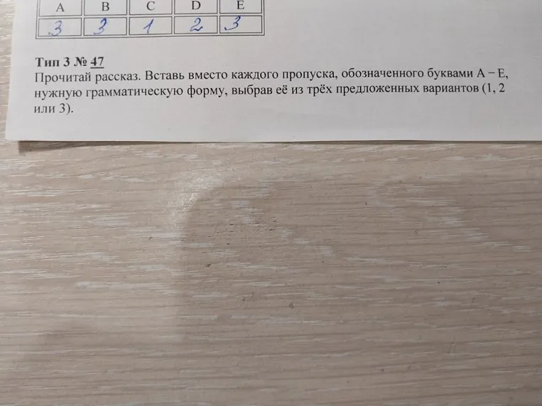 Прочитай рассказ. Вставь вместо каждого пропуска, обозначенного буквами А – Е, нужную грамматическую форму, выбрав её из трёх предложенных вариантов (1, 2 или 3).