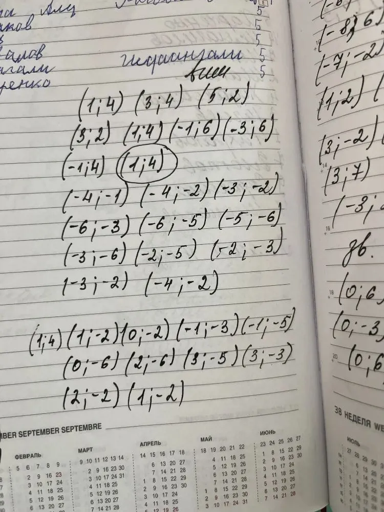 начерти эту координатную плоскость