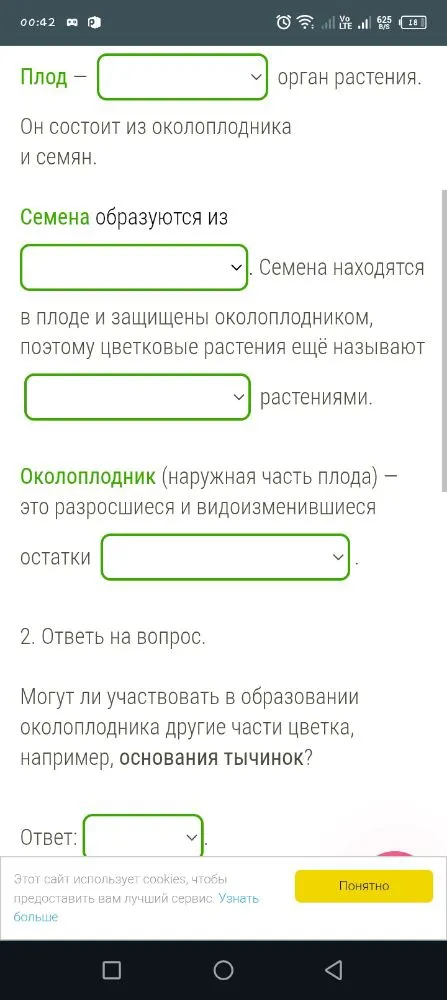 Плод — [пропуск] орган растения. Он состоит из околоплодника и семян.
