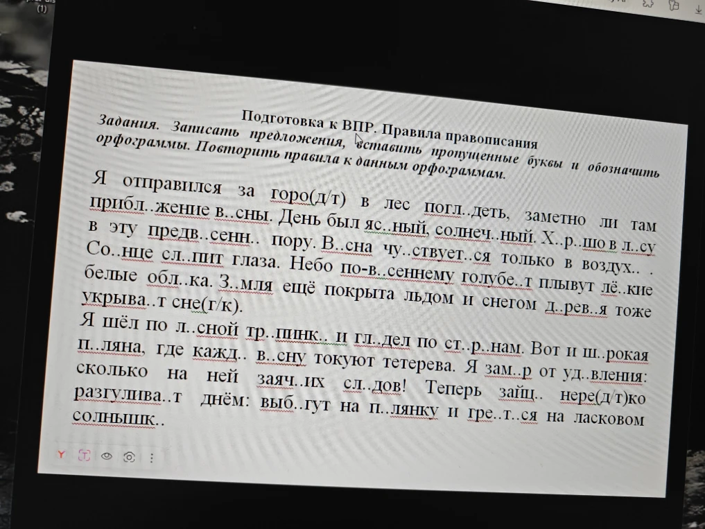 Подготовка к ВПР. Правила правописания. Записать предложения, вставить пропущенные буквы и обозначить орфограммы.