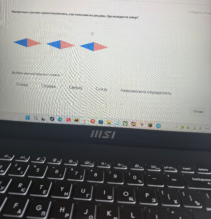 Магнитные стрелки сориентировались, как показано на рисунке. Где находится север?