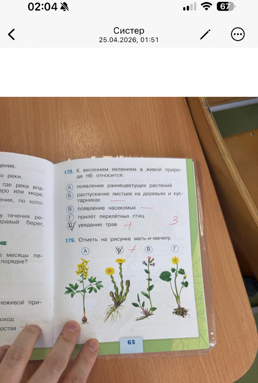 178. К весенним явлениям в живой природе НЕ относится: