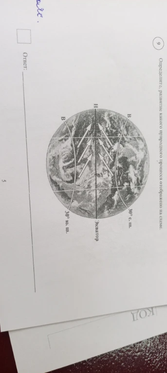 Определите, развитие какого природного процесса отображено на схеме.