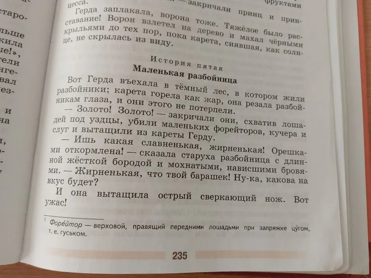 Маленькая разбойница