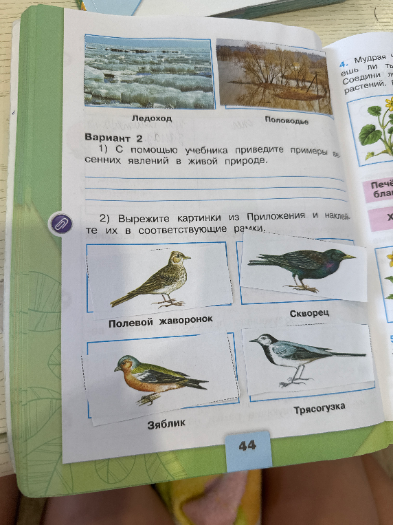 С помощью учебника приведите примеры весенних явлений в живой природе.