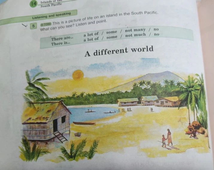 This is a picture of life on an island in the South Pacific. What can you see? Listen and point.