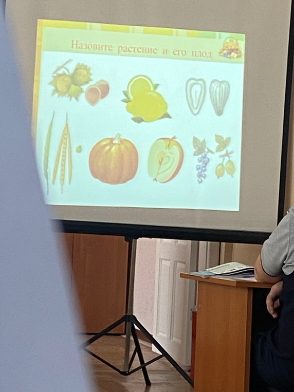 Назовите растение и его плод