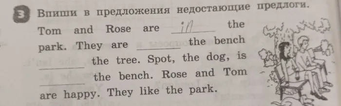 3. Впиши в предложения недостающие предлоги.