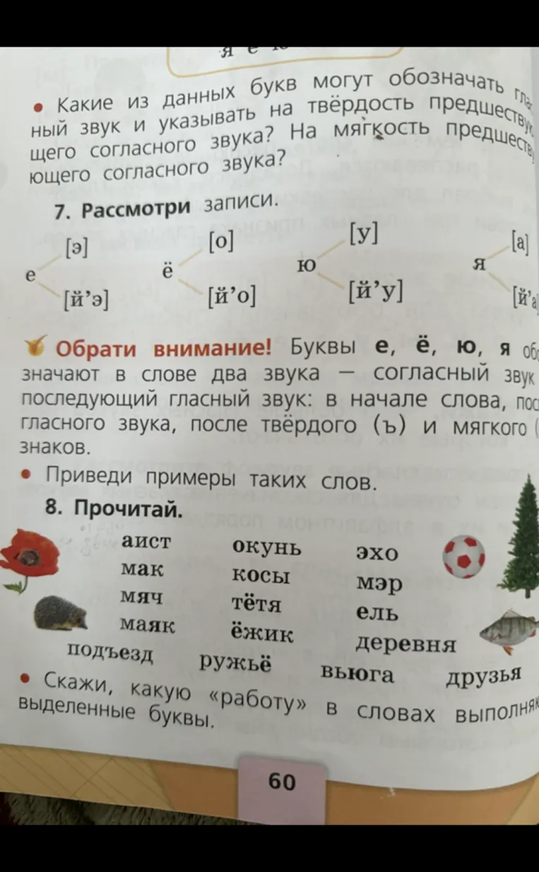 Какие из данных букв могут обозначать гласный звук и указывать на твердость предшествующего согласного звука? На мягкость предшествующего согласного звука?