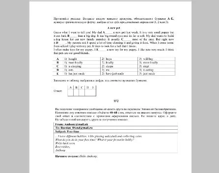 Прочитайте рассказ. Вставьте вместо каждого пропуска, обозначенного буквами А-Е, нужную грамматическую форму, выбрав её из трёх предложенных вариантов (1, 2 или 3).