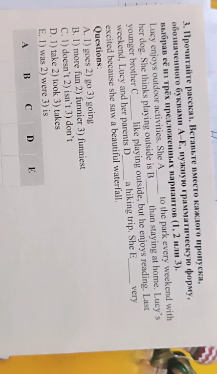 3. Прочитайте рассказ. Вставьте вместо каждого пропуска, обозначенного буквами А-Е, нужную грамматическую форму, выбрав её из трёх предложенных вариантов (1, 2 или 3).