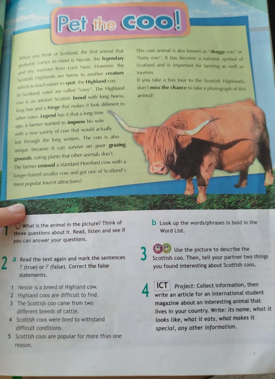 Read the text again and mark the sentences T (true) or F (false). Correct the false statements.