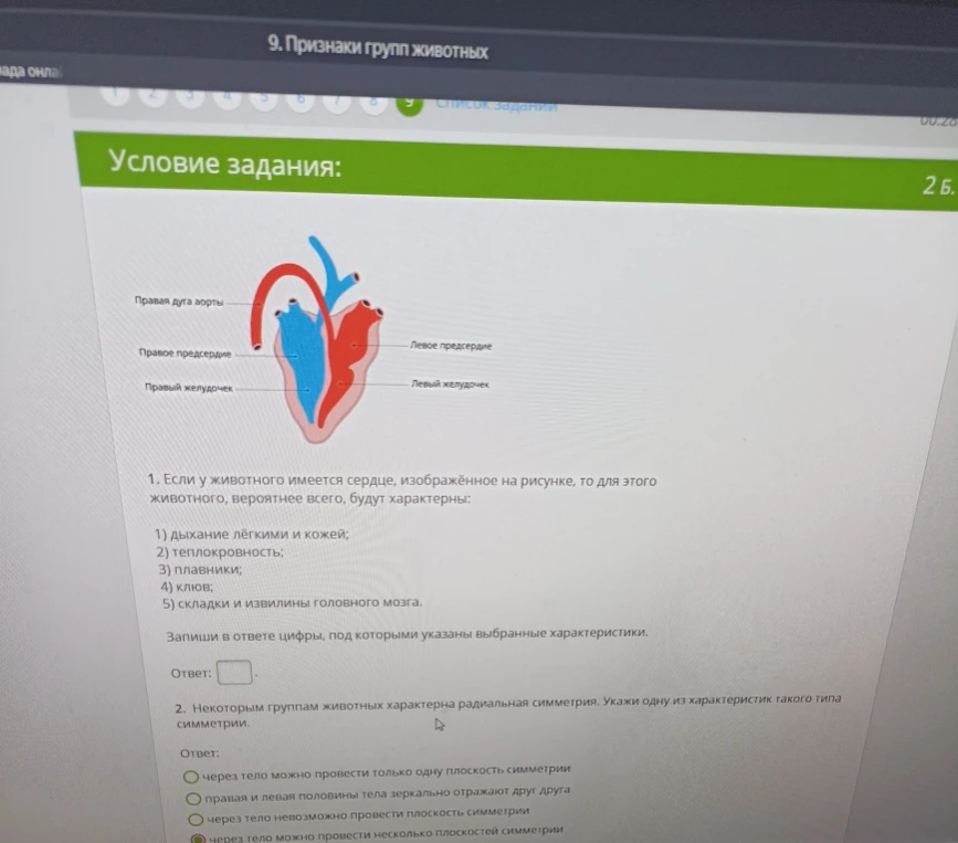 1. Если у животного имеется сердце, изображённое на рисунке, то для этого животного, вероятнее всего, будут характерны: