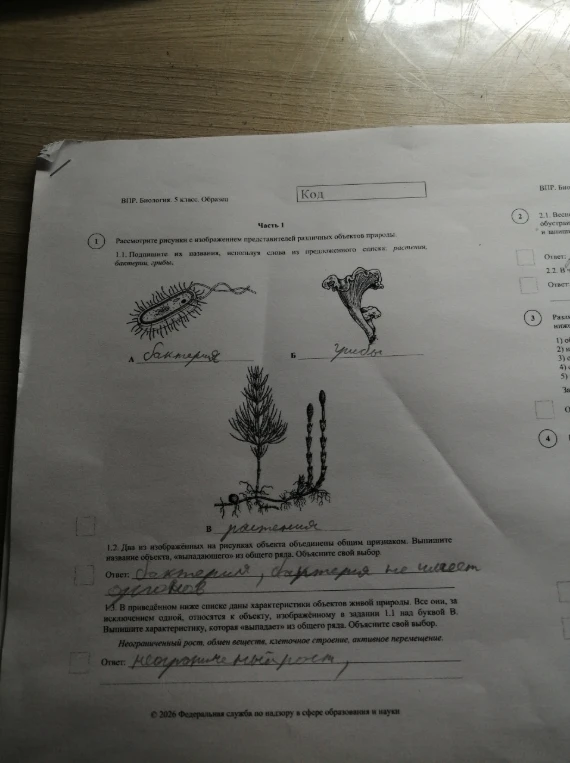 1.1. Подпишите их названия, используя слова из предложенного списка: растения, бактерии, грибы.