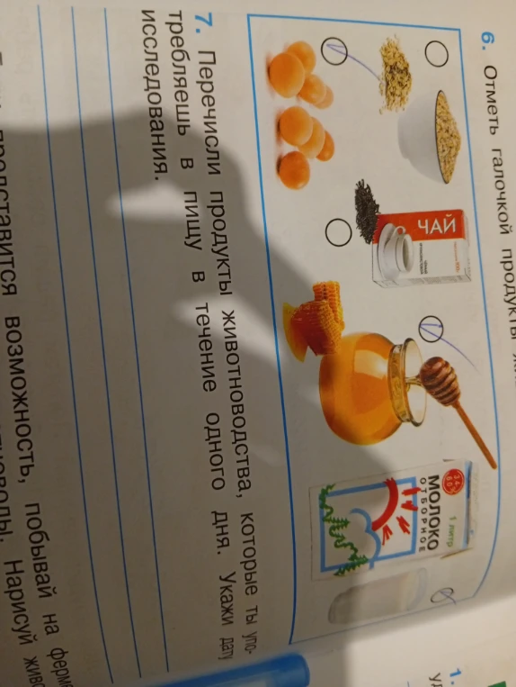 Перечисли продукты животноводства, которые ты употребляешь в пищу в течение одного дня. Укажи дату исследования.