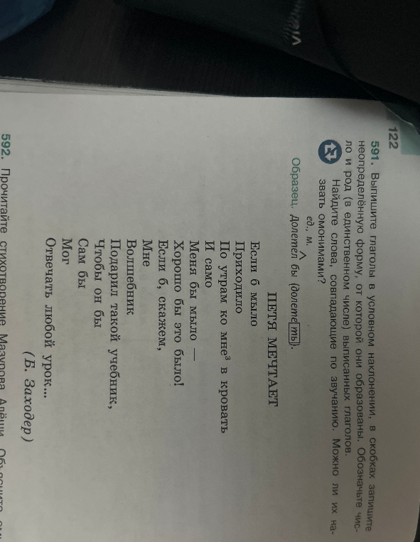 Выпишите глаголы в условном наклонении, в скобках запишите неопределённую форму, от которой они образованы. Обозначьте число и род (в единственном числе) выписанных глаголов. Найдите слова, совпадающие по звучанию. Можно ли их назвать омонимами?